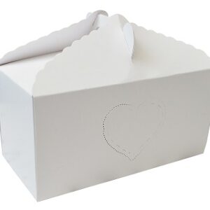 CAJA BUDINERA 20X10X10