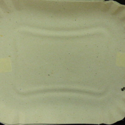 BANDEJA CARTON NRO 2 X 10