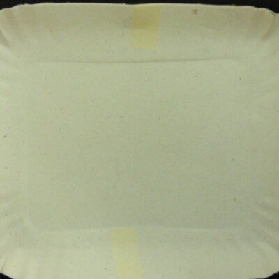 BANDEJA CARTON NRO 3 X 10