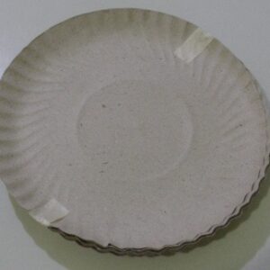 BANDEJA CARTON NRO 13 X 10