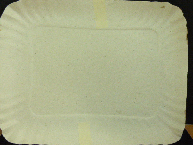 BANDEJA CARTON NRO 5 X 10