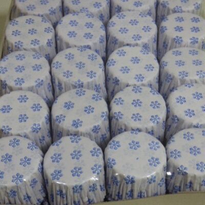 PIROTINES NRO 10 X 1000 COMUN