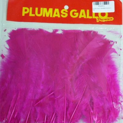 PLUMA GALLO GRANDE FUCSIA X 50U
