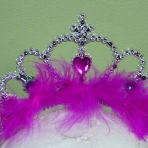 TIARA PLATEADA-DORADA CON PLUMA