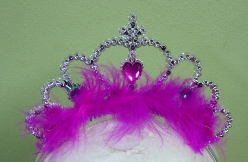 TIARA PLATEADA-DORADA CON PLUMA