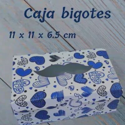 CAJA CON VISOR BIGOTE 17X11X7 AZUL