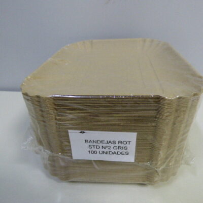 BANDEJA CARTON NRO 2 X 100