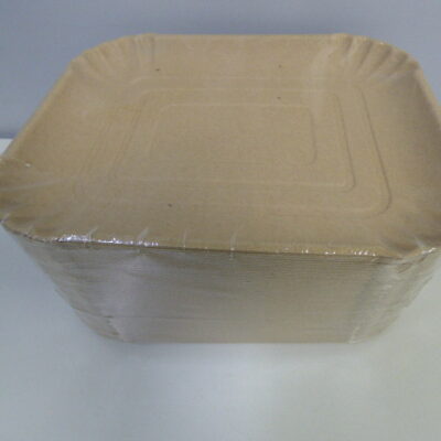 BANDEJA CARTON NRO 3 X 100