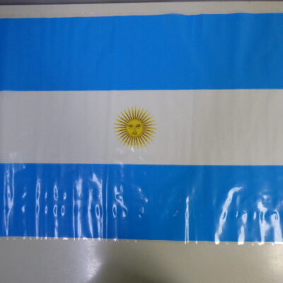 BANDERA ARGENTINA CON SOL N 4 40X60CM.