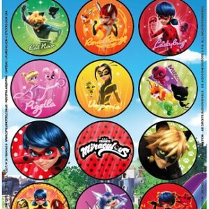 STICKERS AUTOADHESIVOS X24 MIRACULOUS