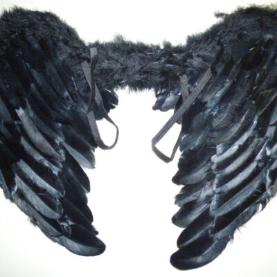 ALAS ANGEL NEGRA Y BLANCA DE PLUMAS NEGRA Y BLANCA