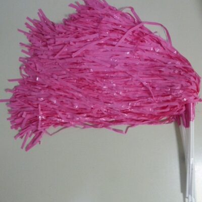 PORRA PLASTICA X10 ROSA