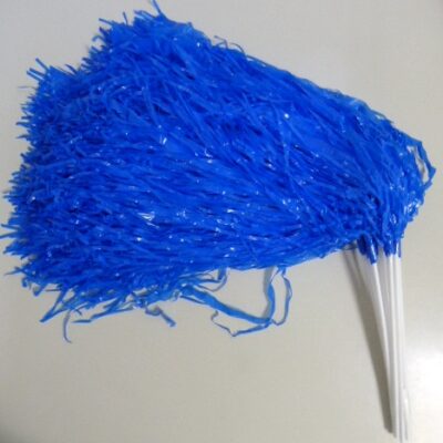 PORRA PLASTICA X10 AZUL