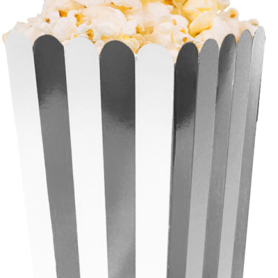 POCHOCLERA BLANCO RAYAS PLATA X 8