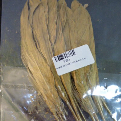 PLUMA BATARAZA DORADA X 12