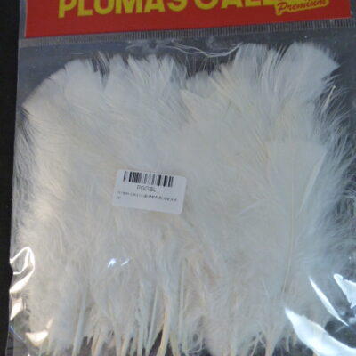 PLUMA GALLO GRANDE BLANCA X 50