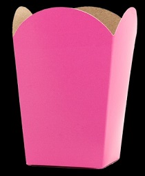 POCHOCLERA LISA ROSA X 10