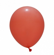 GLOBOX STANDARD X50 N12P CORAL FRESH