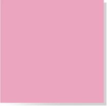 GOMA EVA LISA 40X60 ROSA