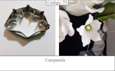 CORTANTE CAIRO CAMPANULA