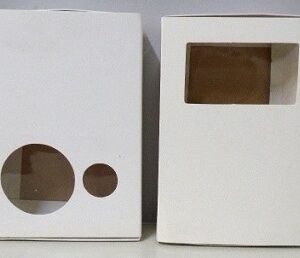 CAJA CON VISOR 19X13X4CM