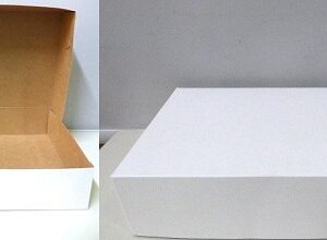 CAJA BLANCA SIN VISOR 22,5X18X6CM