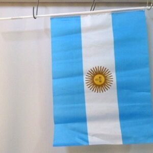 BANDERA ARGENTINA CON PALITO 30X45X60 X1