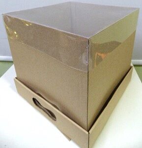CAJA BANDEJA KRAFT CON TAPA VISOR 25X25X15CM