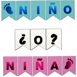 BANDERIN REVELACION DE GENERO NIÑO O NIÑA
