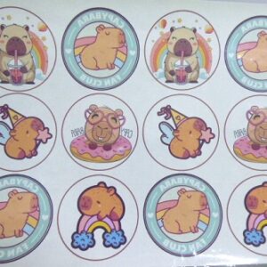 LAMINA CHOCOTRANSFER CAPIBARA / CARPINCHO