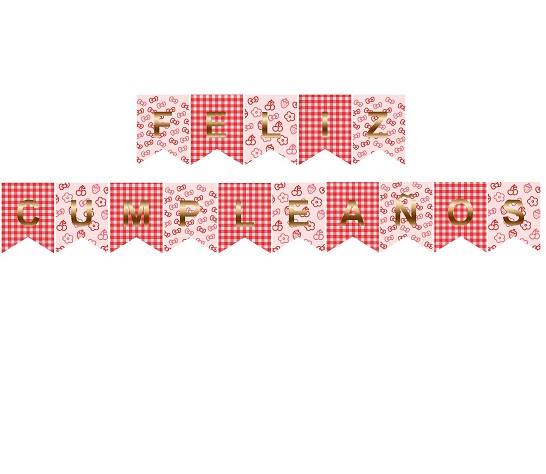 BANDERIN FELIZ CUMPLE ROSA CON MOÑOS