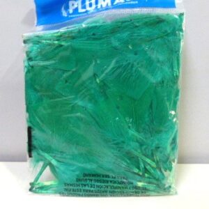 PLUMA GALLO PEQUEÑO ECO X 50U VERDE LORO