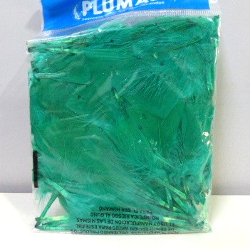 PLUMA GALLO PEQUEÑO ECO X 50U VERDE LORO