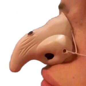 NARIZ BRUJA PLASTICA X6