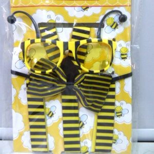 SET ABEJITA CON TIRADOR MOÑO LENTE