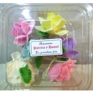 ROSITAS PORCELANA FRIA X6 MULTICOLOR