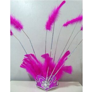 CORONA COMPARSA CORAZON