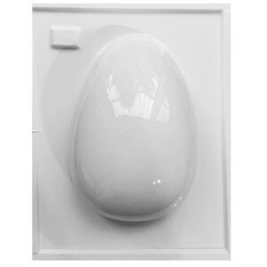 PLACA HUEVO N15 A X10