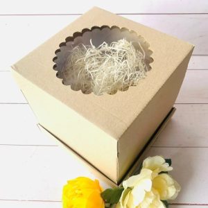 CAJA DRIP CON TAPA Y VISOR 25 X 25 X 20 CM