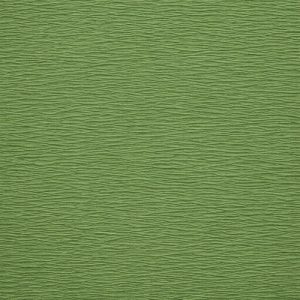 PAPEL CREPE LISO 50 X 200CM VERDE MEDIO
