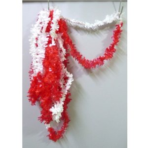 COLLAR PLASTICO X10 ROJO BLANCO