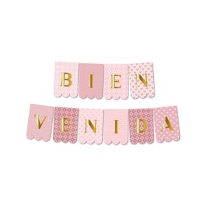 BANDERIN BIENVENIDA ROSA CON ESTAMPING