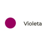 COLORANTE EN POLVO LIPOSOLUBLE FLEIBOR VIOLETA