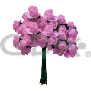 FLOR ROSA MINI X72 ROSA