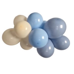 GLOBOX 12P MIX X40 NENE