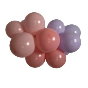 GLOBOX 12P MIX X40 PRINCESA ROSA