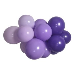 GLOBOX 12P MIX X40 PRINCESA VIOLETA