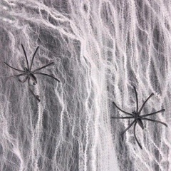 TELARAÑA BLANCA X20 GRS
