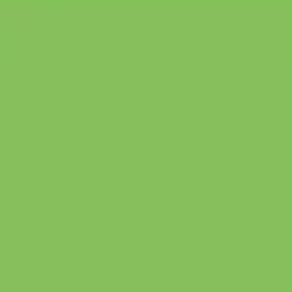 GOMA EVA LISA FLUO 40X60 VERDE